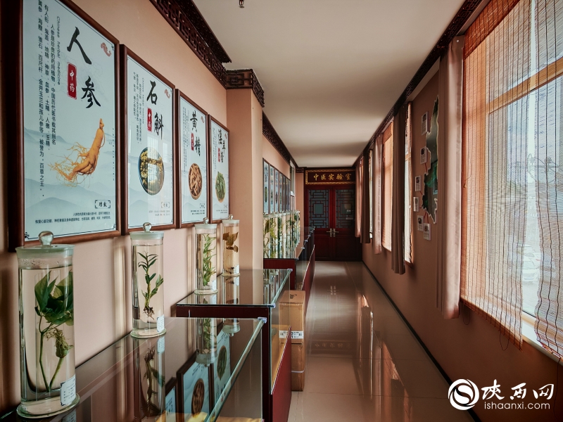 西安市未央区六村堡社区卫生服务中心，中医馆内的中医药标本展示区域，用于开展中医药文化传播。